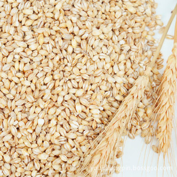 organic gluten-free Peeled Wheat kernel